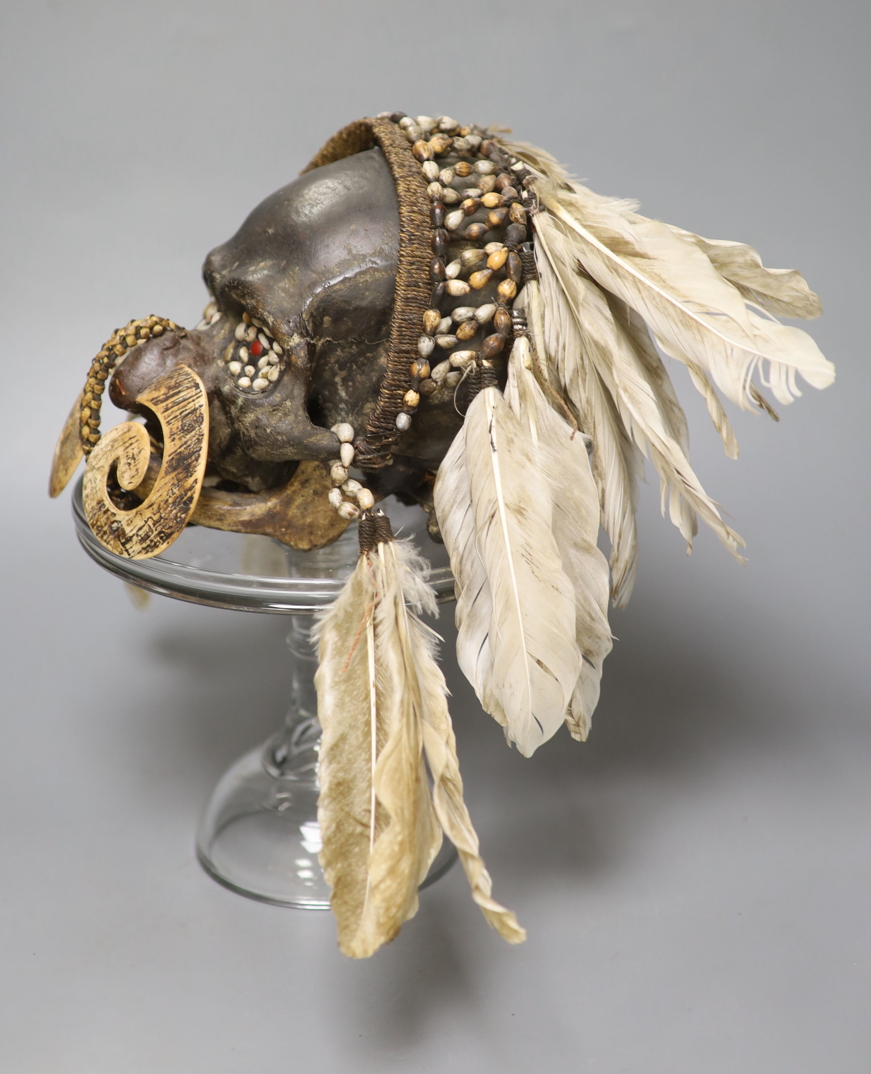 An Asmat ancestral skull, with beaded eyes and feather head-dress, on glass stand